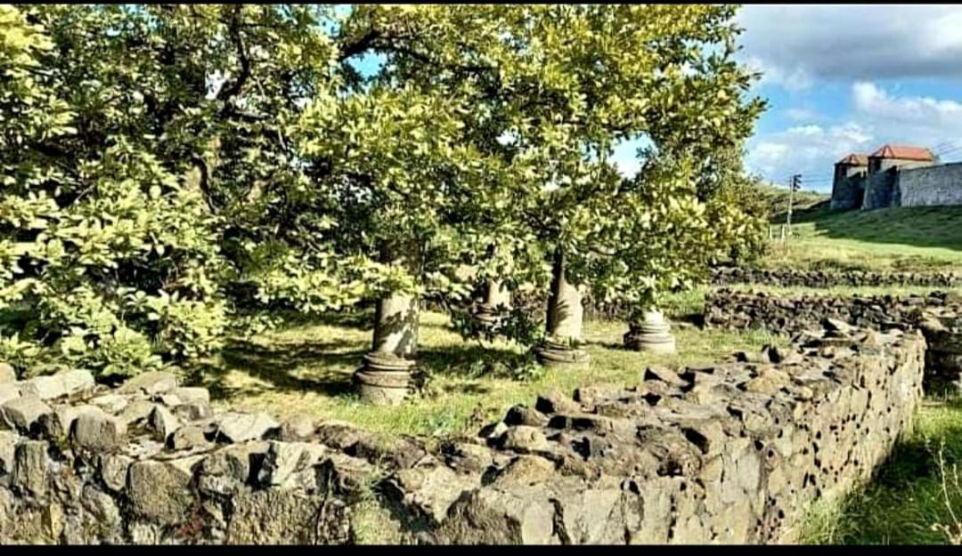 Вілла Vatra Strabunilor Moigrad Екстер'єр фото